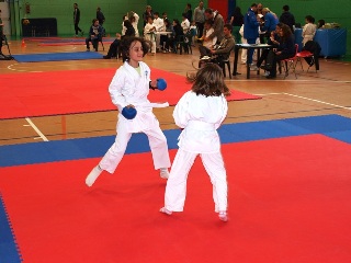Image description